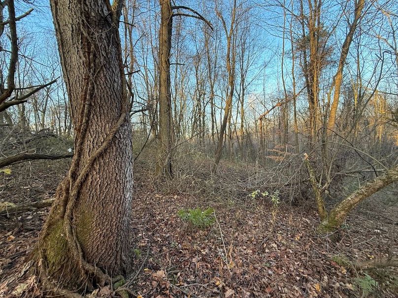 Wayne_29.09_BD_LandParcel_20