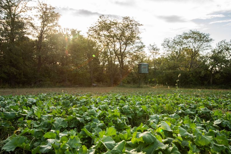 FREMONT CO. IA 158.32_47