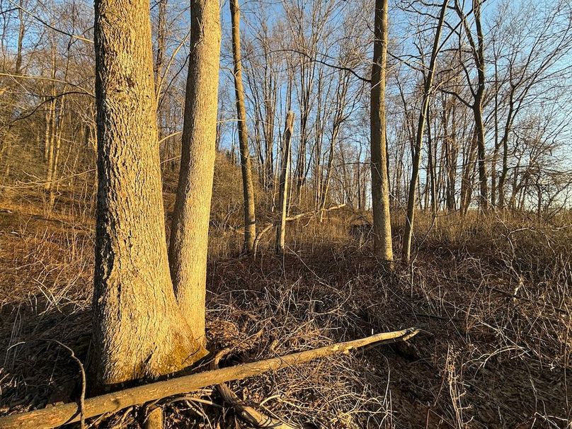 Cayuga 32 Stoyell Photos 56