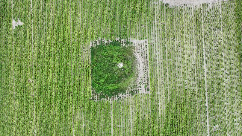 DJI_20250715001859_0152_D