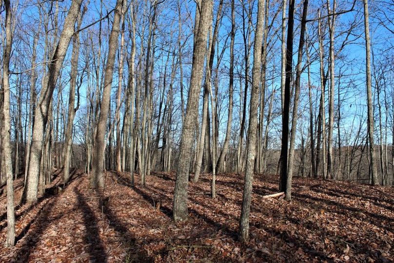 032 ridge top peak near north area of the property