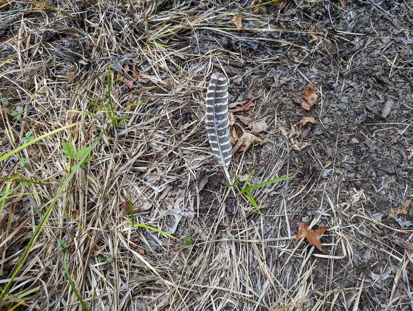 PXL_20230925_223858159