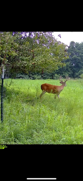 trailcam11