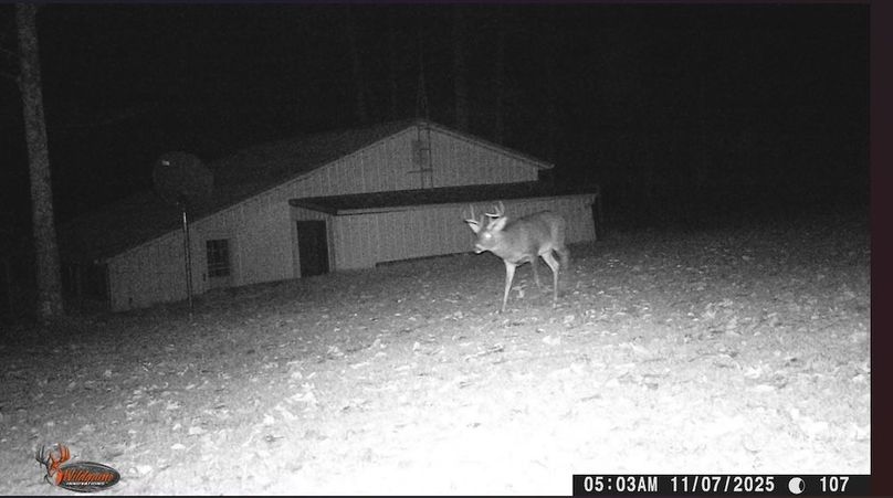 Screenshot 2025-11-13 154901