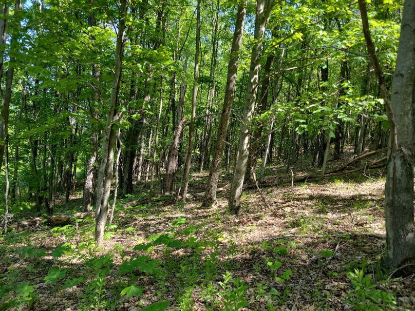 photo_1b9679a0-c5ae-47d0-8889-7e7985de0fd5