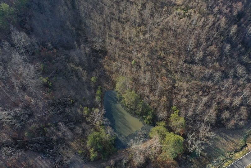 007 aerial drone shot looking straight down at the pond in the southwest area of the property