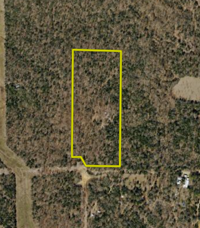 Lamar County- 15 acres(42 of 42)