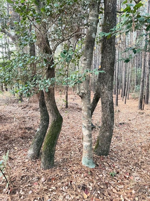 EA836363-3C7B-44A8-8586-CDA1C6D8A25D