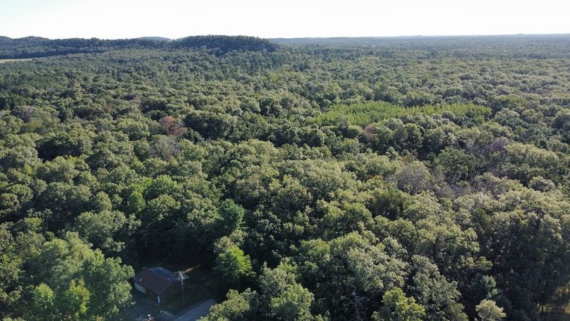 dji_fly_20240810_082004_318_1723296540052_photo_optimized