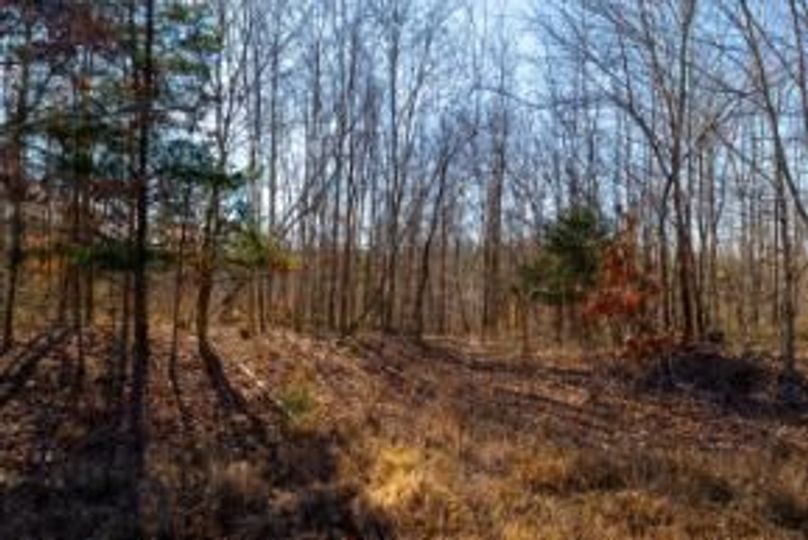 MCKINNON TRACT 19-10