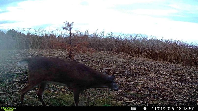 016578004299738-82-4-11012025194400-HD-SYFW01122