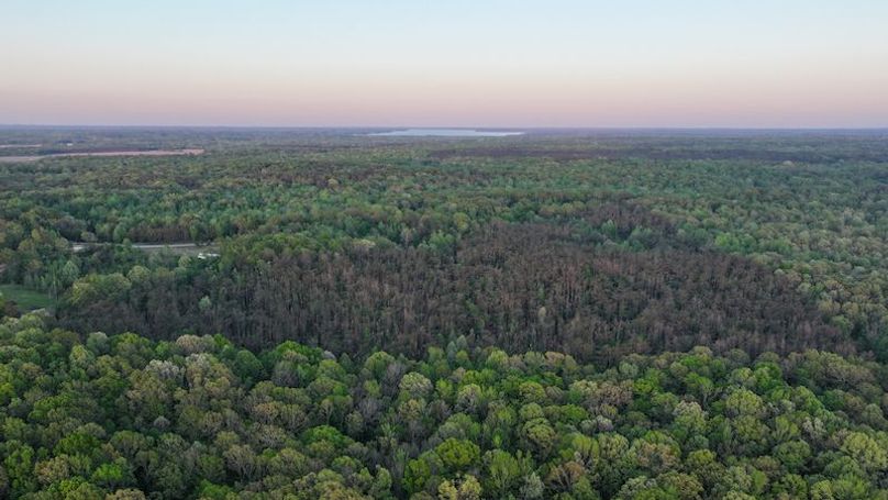 Tallahatchie 44 Newman (Crowden) Wide-49
