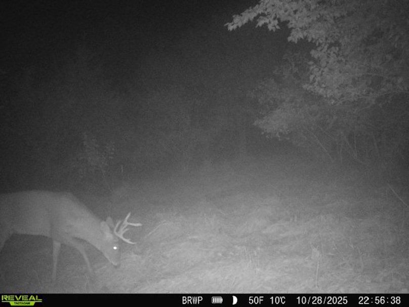 860322065924133-100-4-10282025225638-W1000367