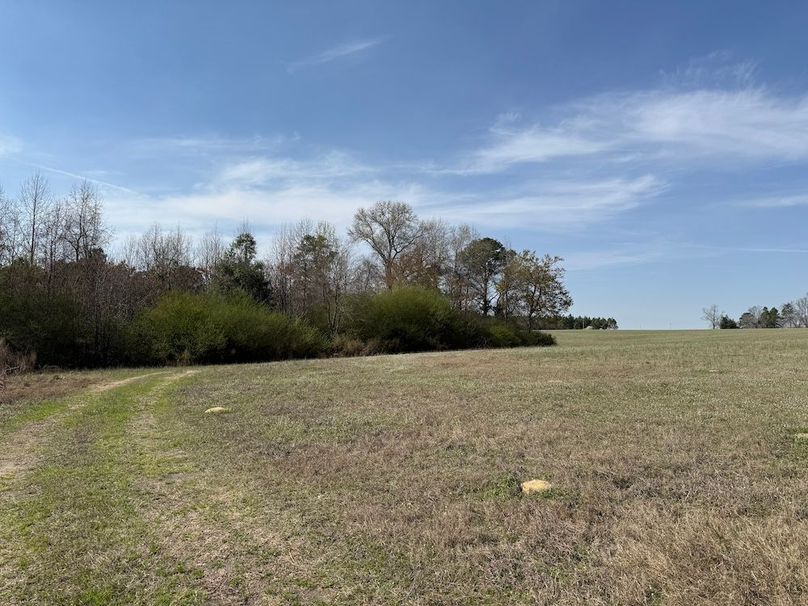 15 - field near lime pile