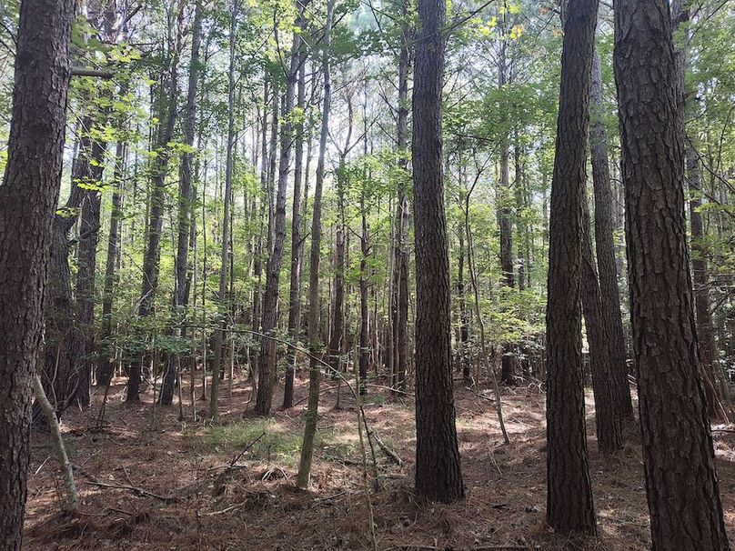 IMG_20250830_100750413