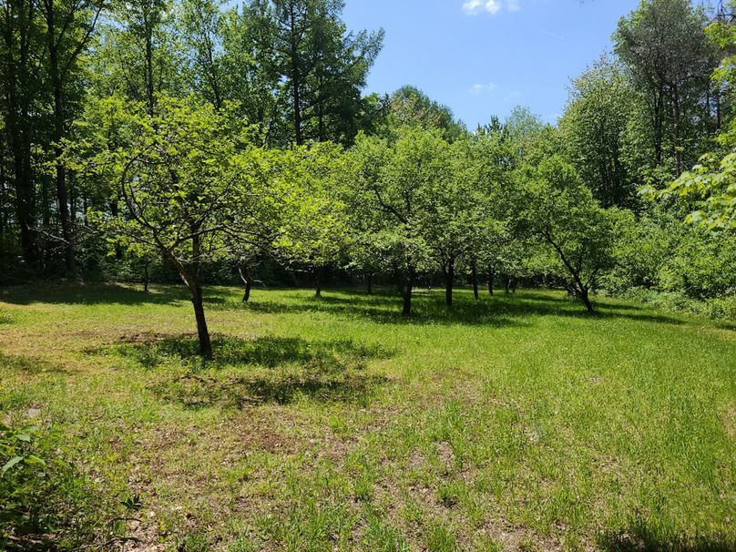 photo_513c0f5b-ce21-487e-87a2-de848181e343