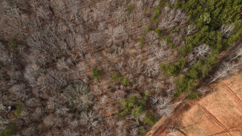 dji_fly_20230220_150534_55_1676923554283_photo