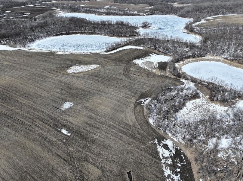 DJI_20260219174933_0122_D