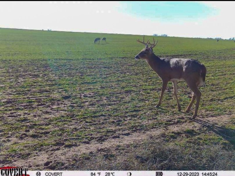 Screenshot_20231229_163418_CovertWireless