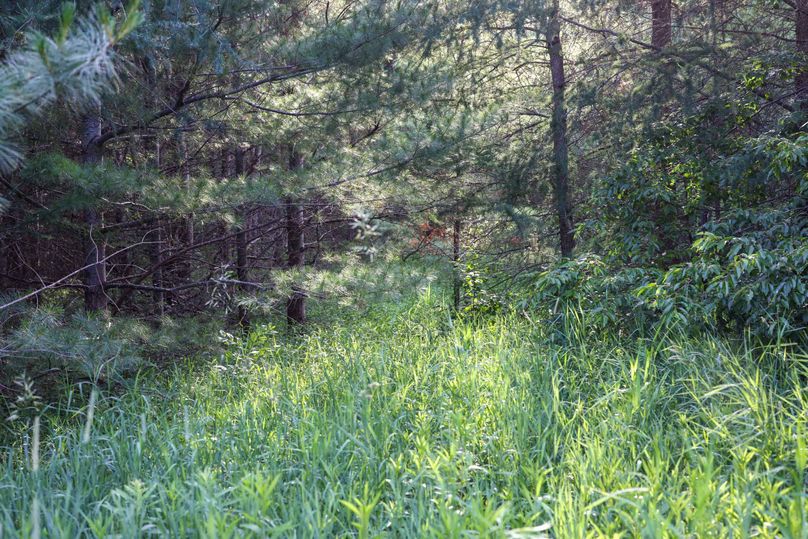 Mackinac20Fewins-6049