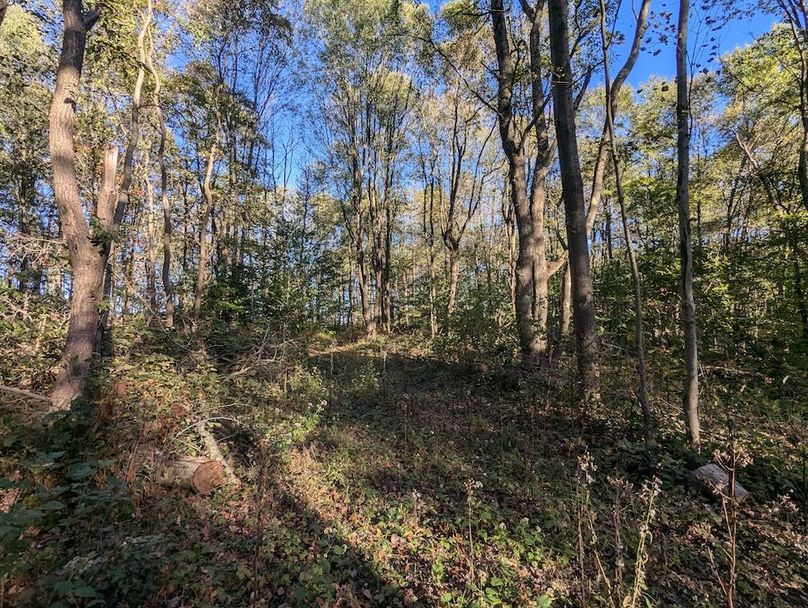 PXL_20251001_211249340