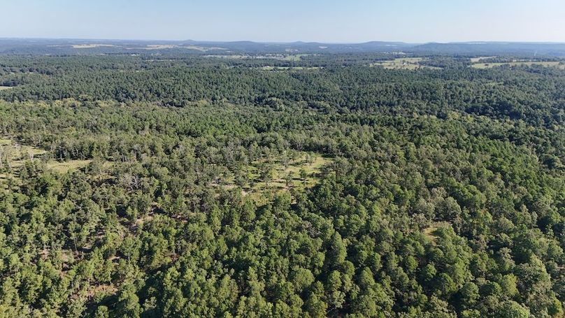 DJI_20250823103445_0126_D