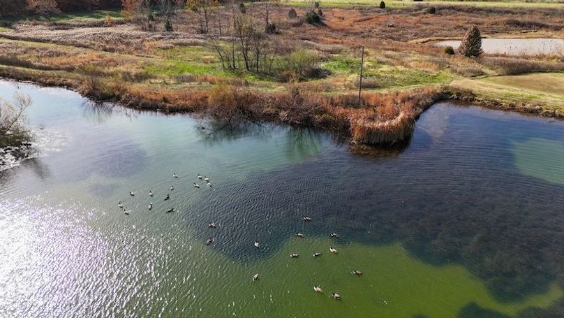 DJI_20251112133039_0573_D