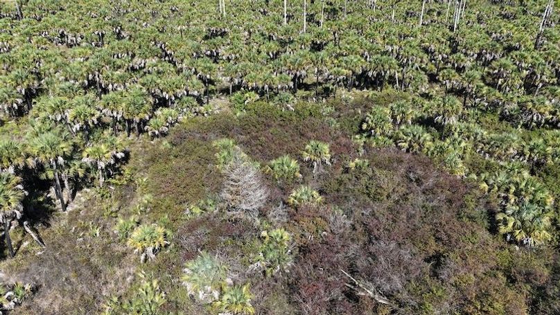 DJI_20251119125355_0002_D