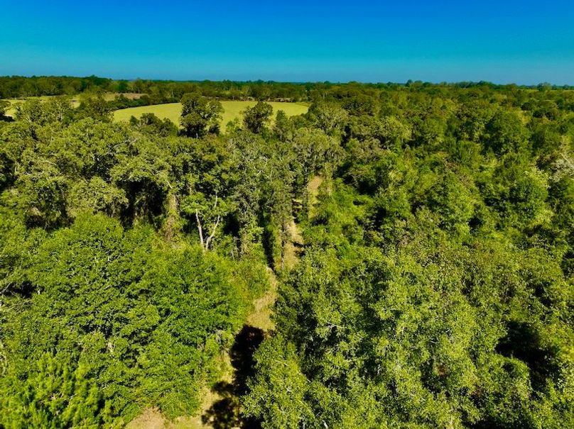 FADDD42B-30B2-447F-9704-63E38F305575_1_201_a