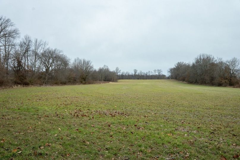 Copy of DSC00768 Large