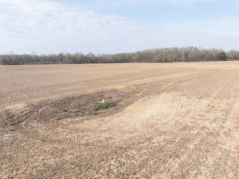 Gibson County Tract 2-19