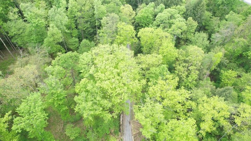 dji_fly_20250515_112422_217_1747322837356_photo