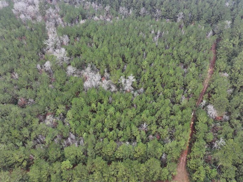 dji_fly_20260122_094050_0849_1769444814595_photo