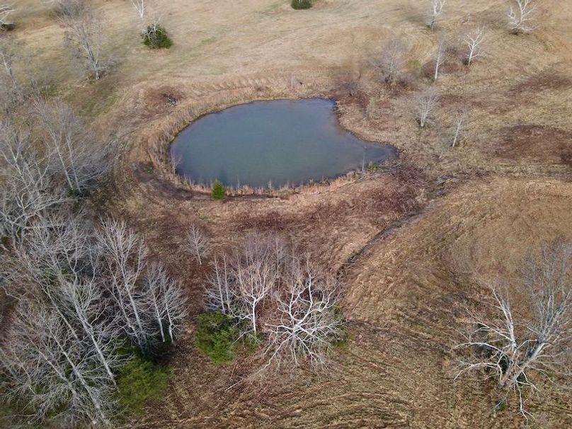 dji_fly_20251205_093748_902_1765034381061_photo