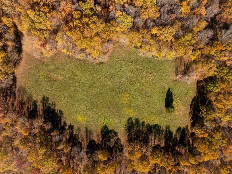 DJI_20241119105408_0255_D