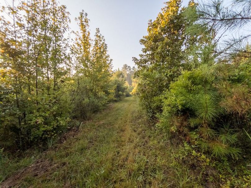 Madison Co - 40 - Clerk-14