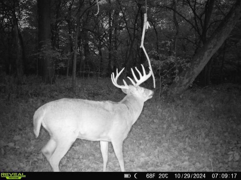 860322062494817-10-4-10292024070916-V-W1001467