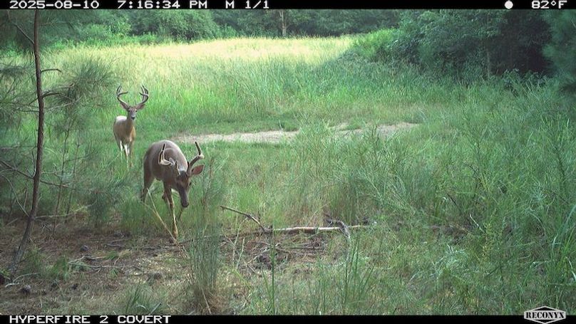 TwinStatesTrailCam23