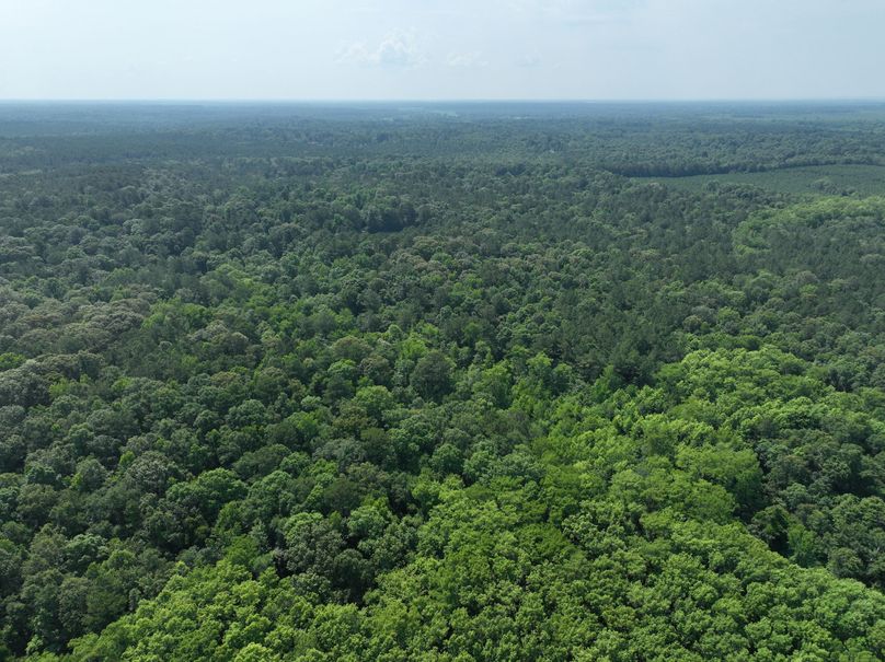 dji_fly_20230530_111424_133_1685483433785_photo