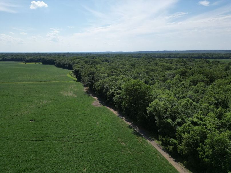 DJI_0408