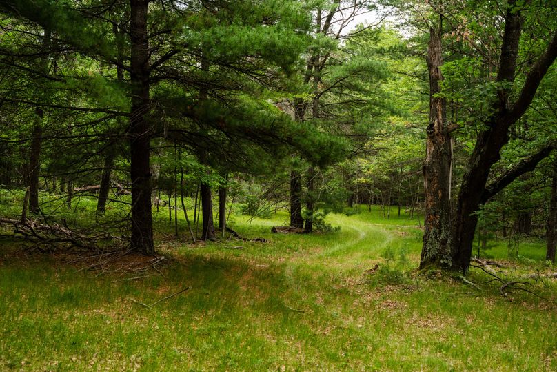 Ogemaw MI 475 Featured Pro Photo-742239