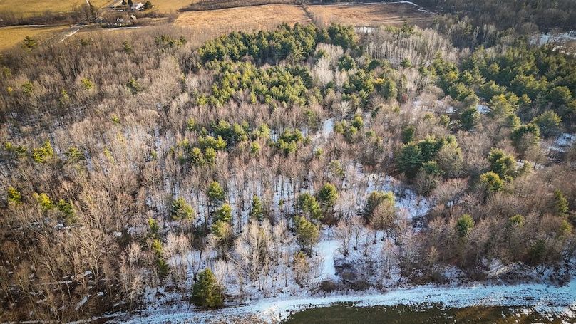 Seneca_43_Hohwald_Photos_5