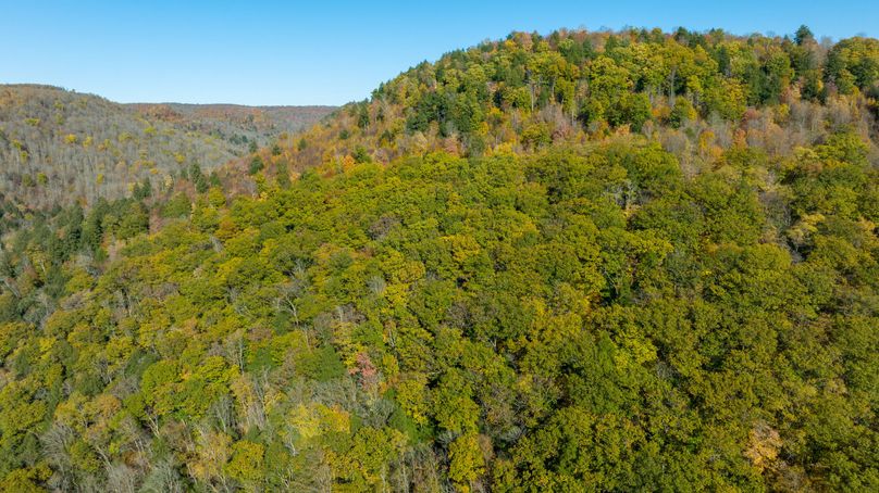 Elk PA 7000 Feature_Pro Photo-118