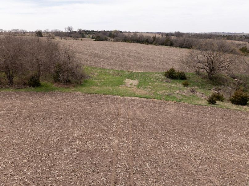 20240405-DJI_20240405120956_0061_D