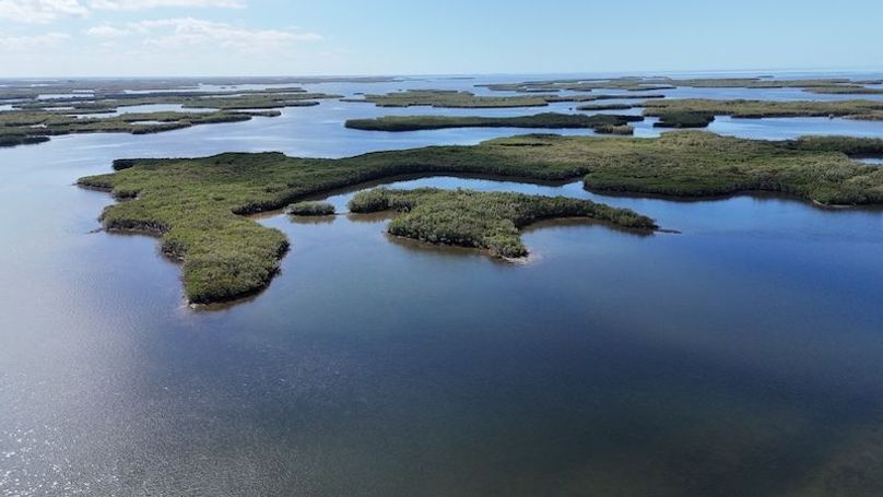 17.17ac, Citrus, Josiah Ronco18