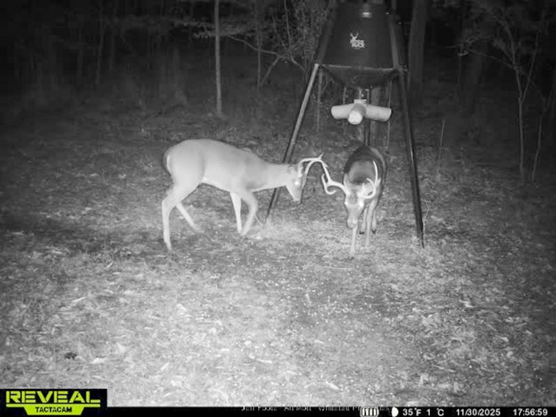 Holmes County - 108 - Rodriguez-86