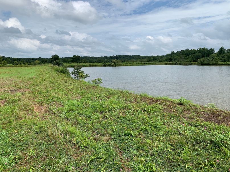 4FD85E33-FF5A-4F11-9F23-FEB757899FDC copy