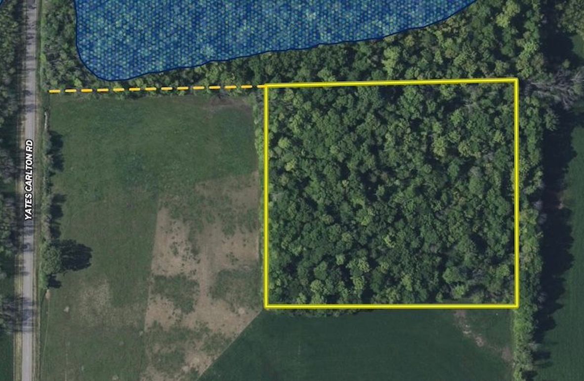 Screenshot 2025-06-02 at 9.29.20 AM