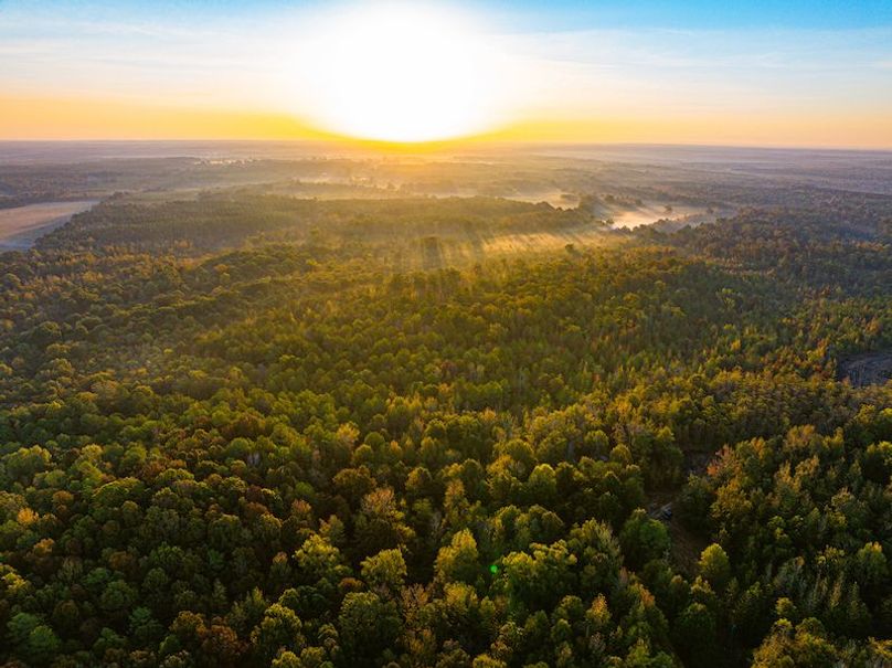 Clay 302.7 Henderson-57