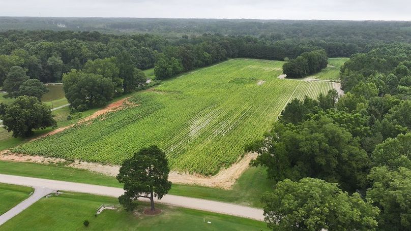 DJI_20250715001722_0148_D